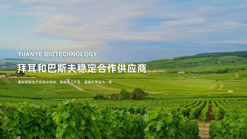 生物试剂使用方法步骤详解：确保实验准确性的关键