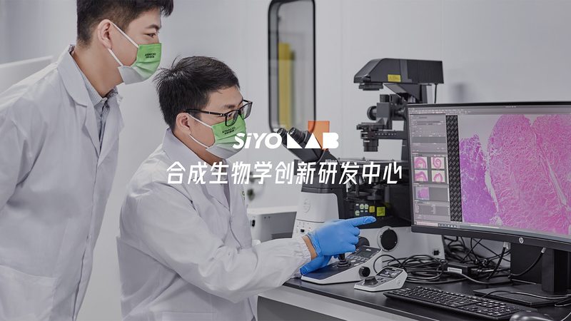 基因测序与芯片检测：揭秘两者之间的差异