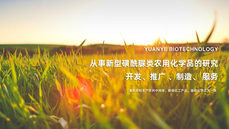 小标题：CRO行业现状解析