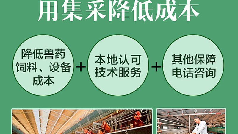 单基因病测序：北京公司的精准医疗探索**