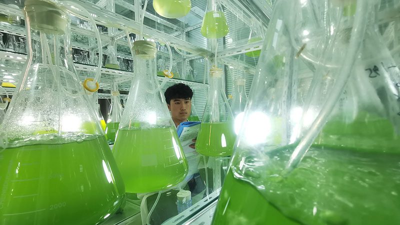 生物科技公司采购流程：揭秘合规与效率的关键环节**